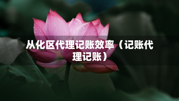 從化區(qū)代理記賬效率（記賬代理記賬）