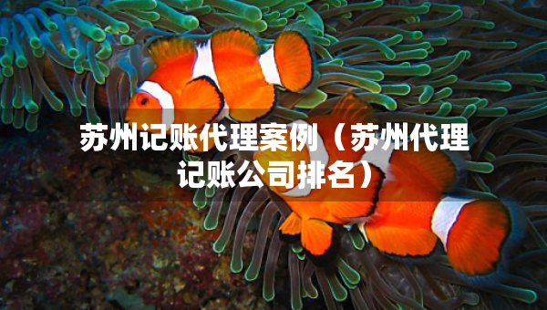 蘇州記賬代理案例（蘇州代理記賬公司排名）