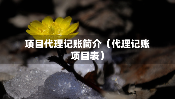 項(xiàng)目代理記賬簡(jiǎn)介（代理記賬項(xiàng)目表）