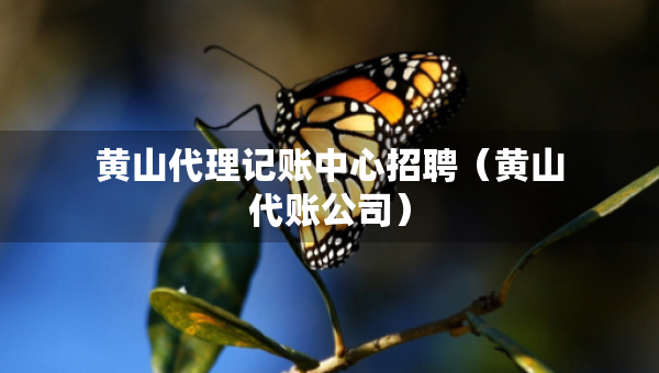 黃山代理記賬中心招聘（黃山代賬公司）