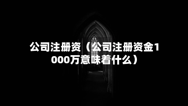 公司注冊資（公司注冊資金1000萬意味著什么）