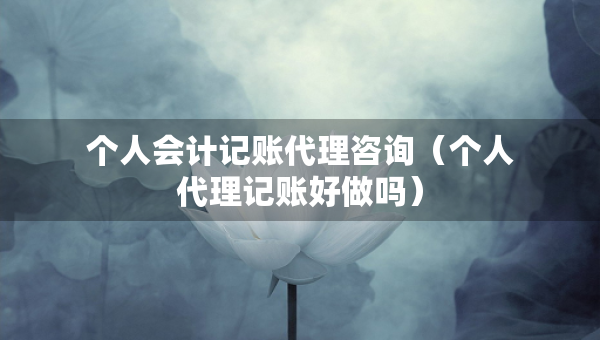 個(gè)人會(huì)計(jì)記賬代理咨詢（個(gè)人代理記賬好做嗎）