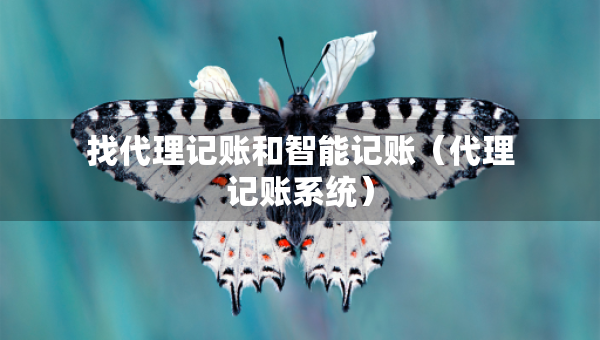 找代理記賬和智能記賬（代理記賬系統(tǒng)）