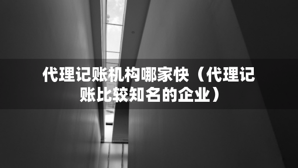 代理記賬機構(gòu)哪家快（代理記賬比較知名的企業(yè)）