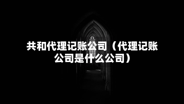 共和代理記賬公司（代理記賬公司是什么公司）