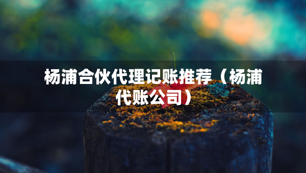 楊浦合伙代理記賬推薦（楊浦代賬公司）