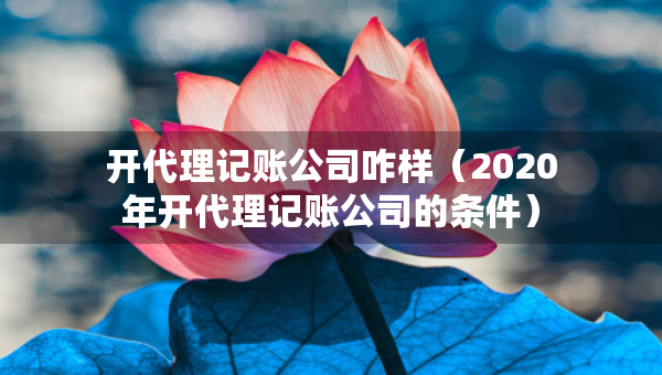 開代理記賬公司咋樣（2020年開代理記賬公司的條件）
