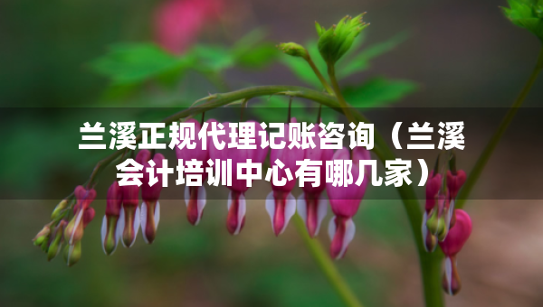 蘭溪正規(guī)代理記賬咨詢（蘭溪會計(jì)培訓(xùn)中心有哪幾家）