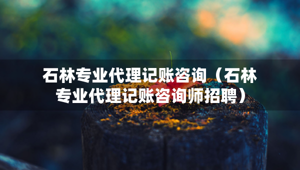 石林專業(yè)代理記賬咨詢（石林專業(yè)代理記賬咨詢師招聘）