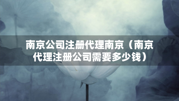 南京公司注冊(cè)代理南京（南京代理注冊(cè)公司需要多少錢）