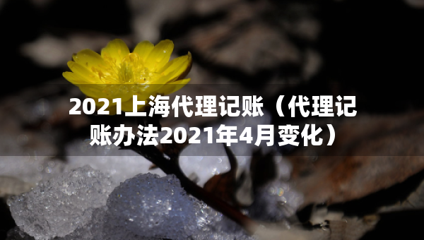 2021上海代理記賬（代理記賬辦法2021年4月變化）