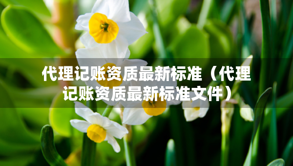 代理記賬資質(zhì)最新標(biāo)準(zhǔn)（代理記賬資質(zhì)最新標(biāo)準(zhǔn)文件）