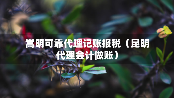 嵩明可靠代理記賬報(bào)稅（昆明代理會(huì)計(jì)做賬）