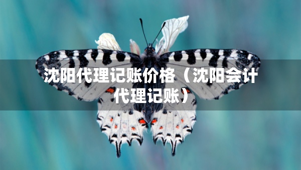 沈陽代理記賬價格（沈陽會計代理記賬）