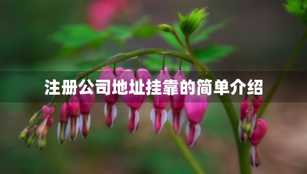 注冊(cè)公司地址掛靠的簡(jiǎn)單介紹