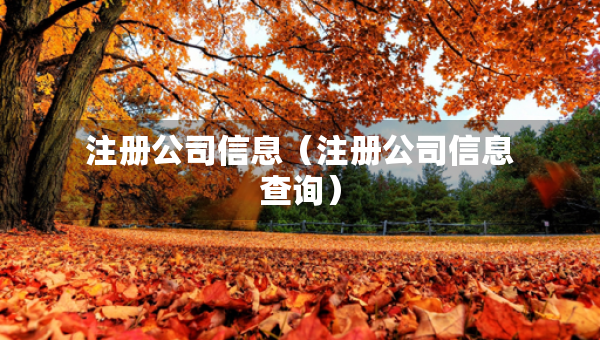 注冊(cè)公司信息（注冊(cè)公司信息查詢）