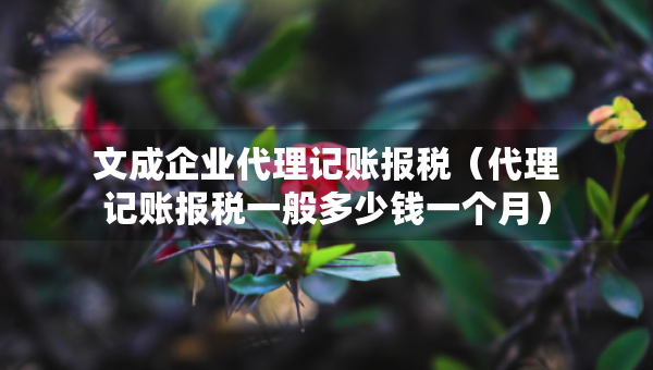 文成企業(yè)代理記賬報(bào)稅（代理記賬報(bào)稅一般多少錢一個(gè)月）