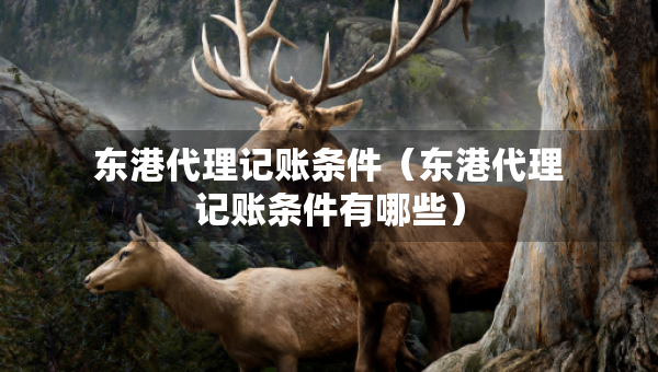 東港代理記賬條件（東港代理記賬條件有哪些）