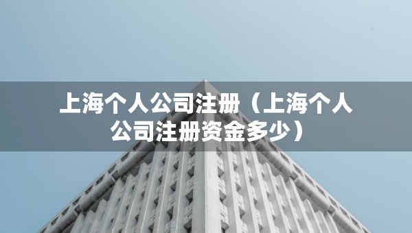 上海個(gè)人公司注冊(cè)（上海個(gè)人公司注冊(cè)資金多少）