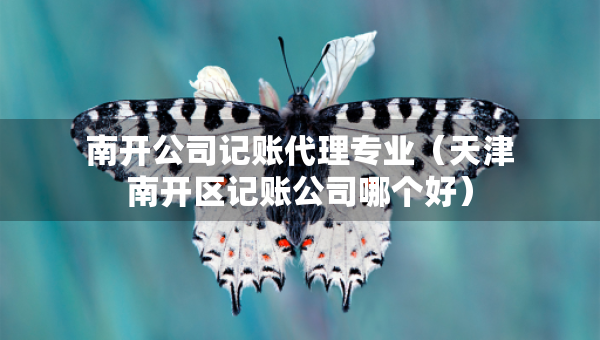 南開公司記賬代理專業(yè)（天津南開區(qū)記賬公司哪個好）