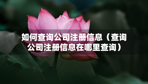 如何查詢公司注冊(cè)信息（查詢公司注冊(cè)信息在哪里查詢）