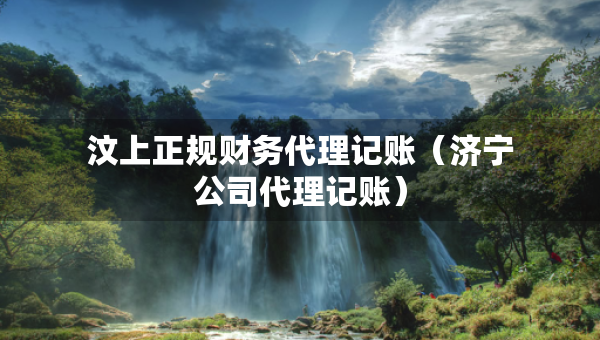 汶上正規(guī)財(cái)務(wù)代理記賬（濟(jì)寧公司代理記賬）