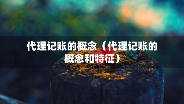 代理記賬的概念（代理記賬的概念和特征）