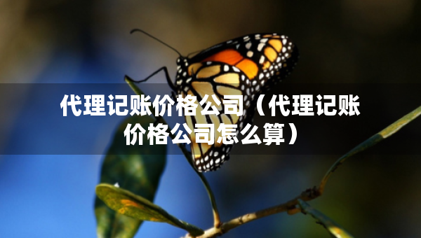 代理記賬價格公司（代理記賬價格公司怎么算）