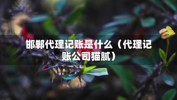 邯鄲代理記賬是什么（代理記賬公司貓膩）