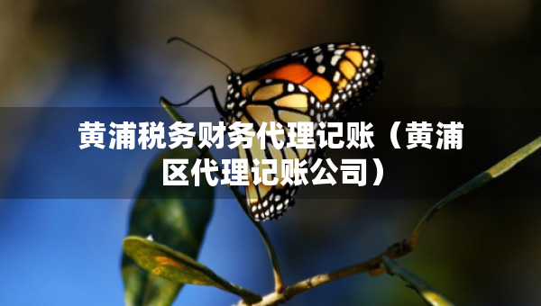 黃浦稅務(wù)財(cái)務(wù)代理記賬（黃浦區(qū)代理記賬公司）