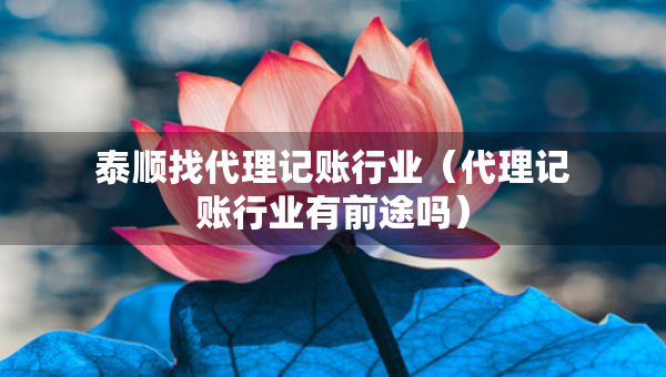 泰順找代理記賬行業(yè)（代理記賬行業(yè)有前途嗎）