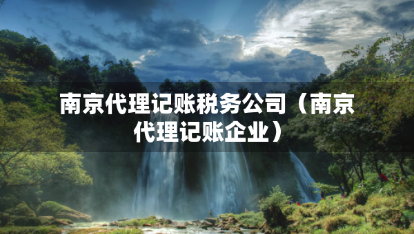 南京代理記賬稅務(wù)公司（南京代理記賬企業(yè)）