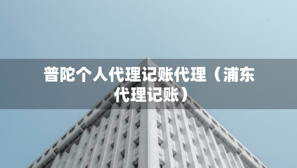 普陀個人代理記賬代理（浦東 代理記賬）