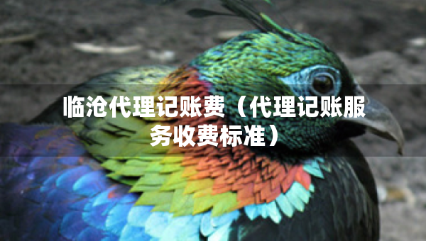 臨滄代理記賬費(fèi)（代理記賬服務(wù)收費(fèi)標(biāo)準(zhǔn)）