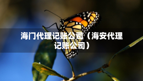 海門(mén)代理記賬公司（海安代理記賬公司）