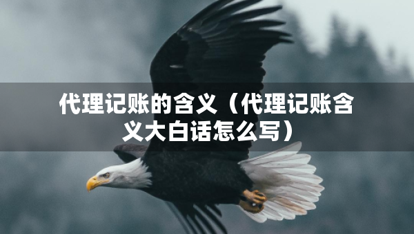 代理記賬的含義（代理記賬含義大白話怎么寫(xiě)）