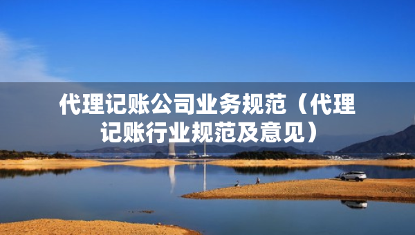 代理記賬公司業(yè)務(wù)規(guī)范（代理記賬行業(yè)規(guī)范及意見）