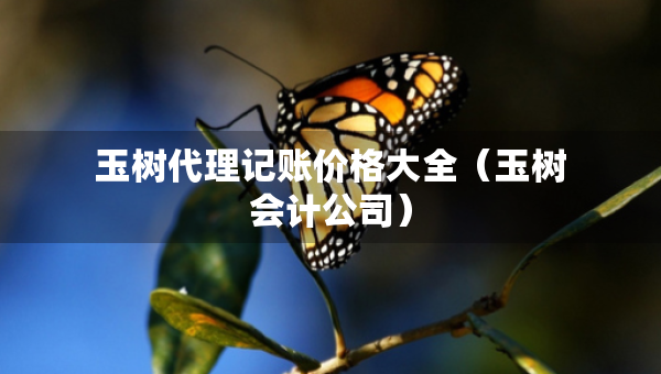 玉樹代理記賬價格大全（玉樹會計公司）