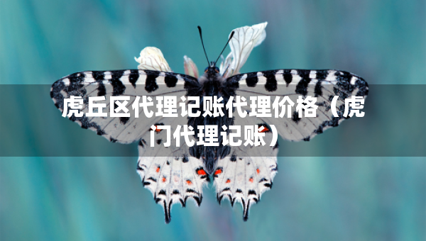 虎丘區(qū)代理記賬代理價格（虎門代理記賬）