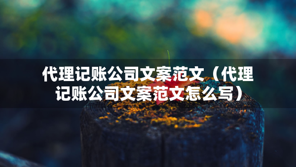 代理記賬公司文案范文（代理記賬公司文案范文怎么寫）