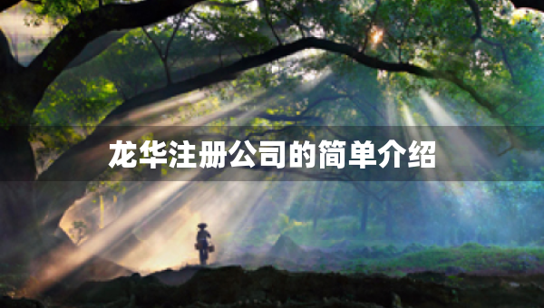 龍華注冊公司的簡單介紹