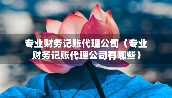 專業(yè)財(cái)務(wù)記賬代理公司（專業(yè)財(cái)務(wù)記賬代理公司有哪些）