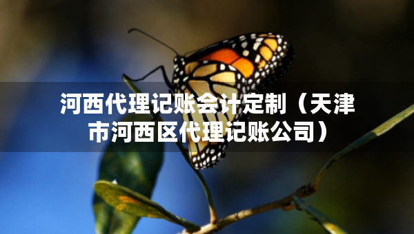 河西代理記賬會計定制（天津市河西區(qū)代理記賬公司）