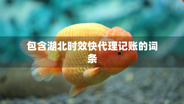 包含湖北時效快代理記賬的詞條