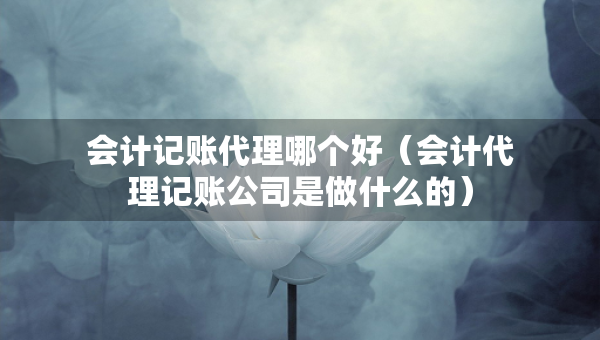 會計記賬代理哪個好（會計代理記賬公司是做什么的）