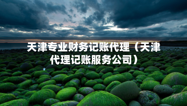 天津?qū)I(yè)財(cái)務(wù)記賬代理（天津代理記賬服務(wù)公司）