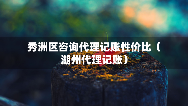 秀洲區(qū)咨詢代理記賬性價比（湖州代理記賬）