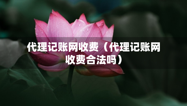 代理記賬網(wǎng)收費（代理記賬網(wǎng)收費合法嗎）