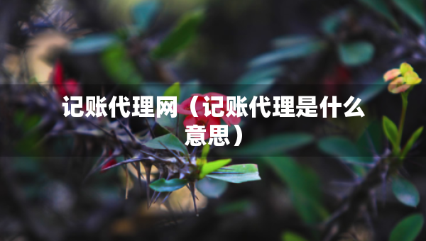 記賬代理網(wǎng)（記賬代理是什么意思）