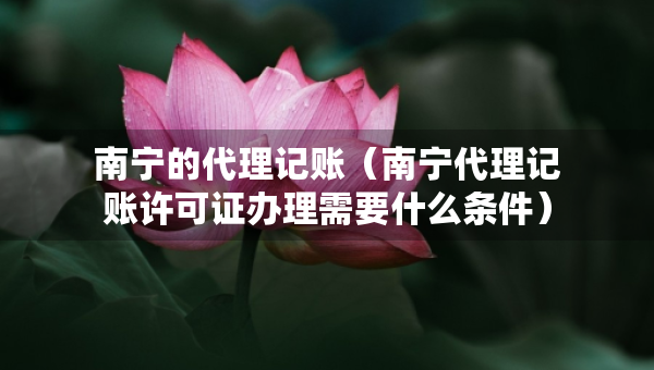 南寧的代理記賬（南寧代理記賬許可證辦理需要什么條件）